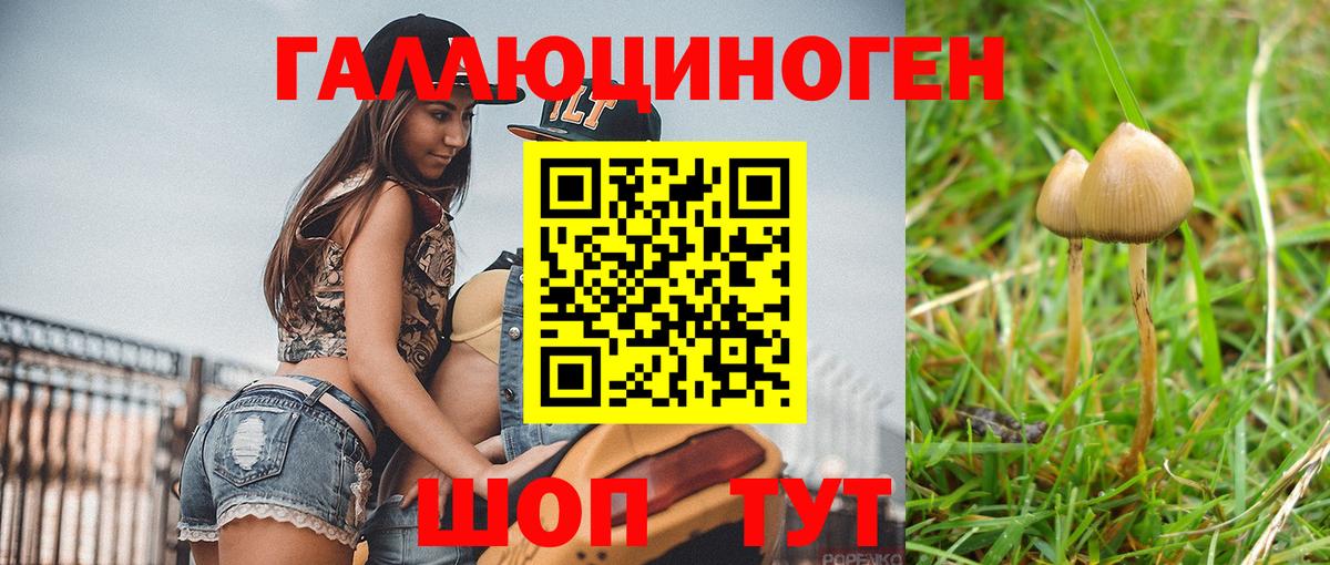 Галлюциногенные грибы ЛСД  Вход с VPN  Домодедово 